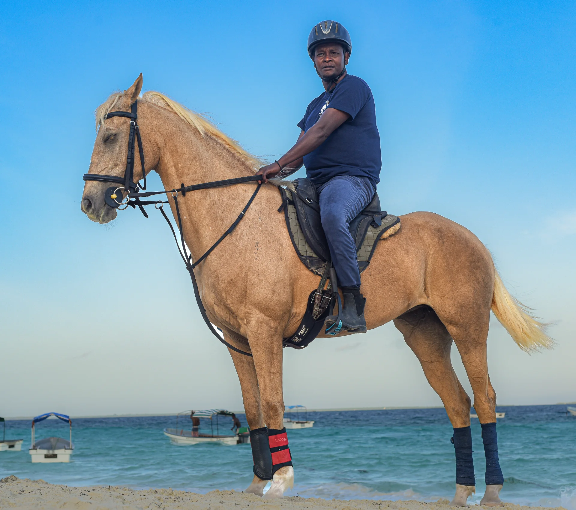 Meet Jay | Zanzibar Horse Club